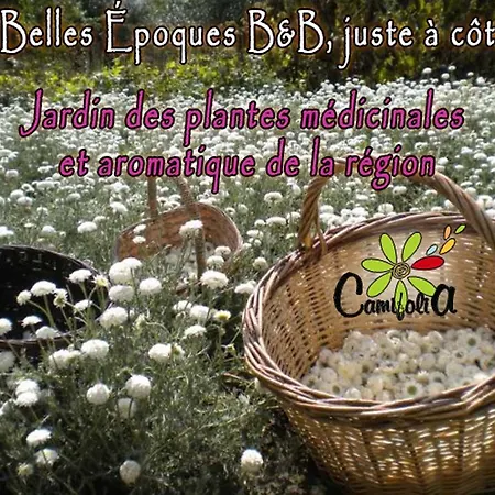 Les Belles Epoques - Proche Puy Du Fou Couette-café 3*
